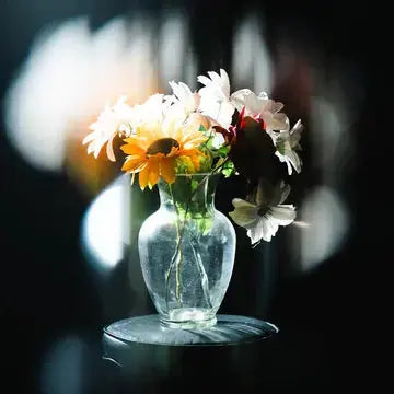 Centerfield Split Diopter FX Filter - LAB VIZION