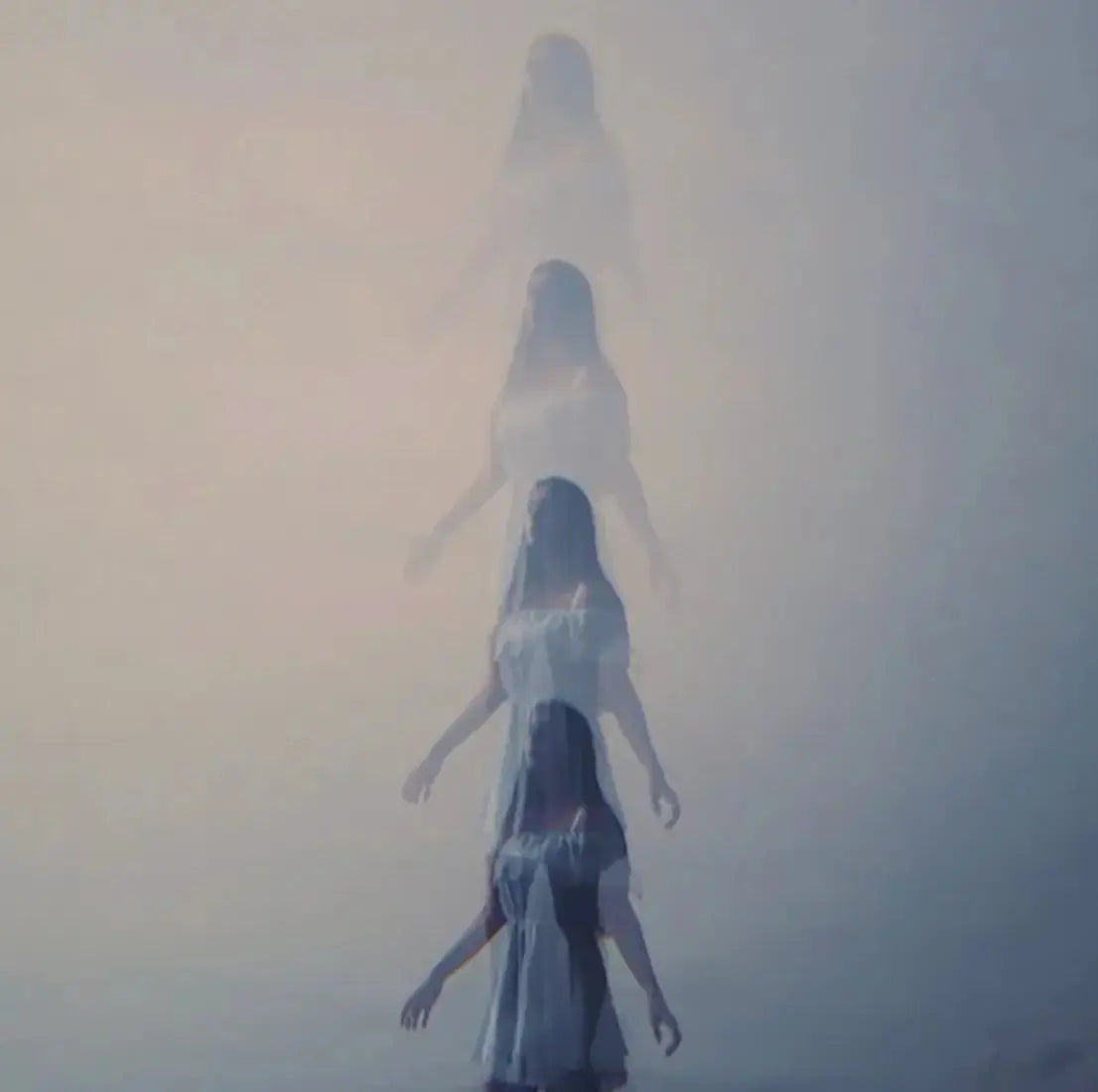 LINEAR Filter - LAB VIZION