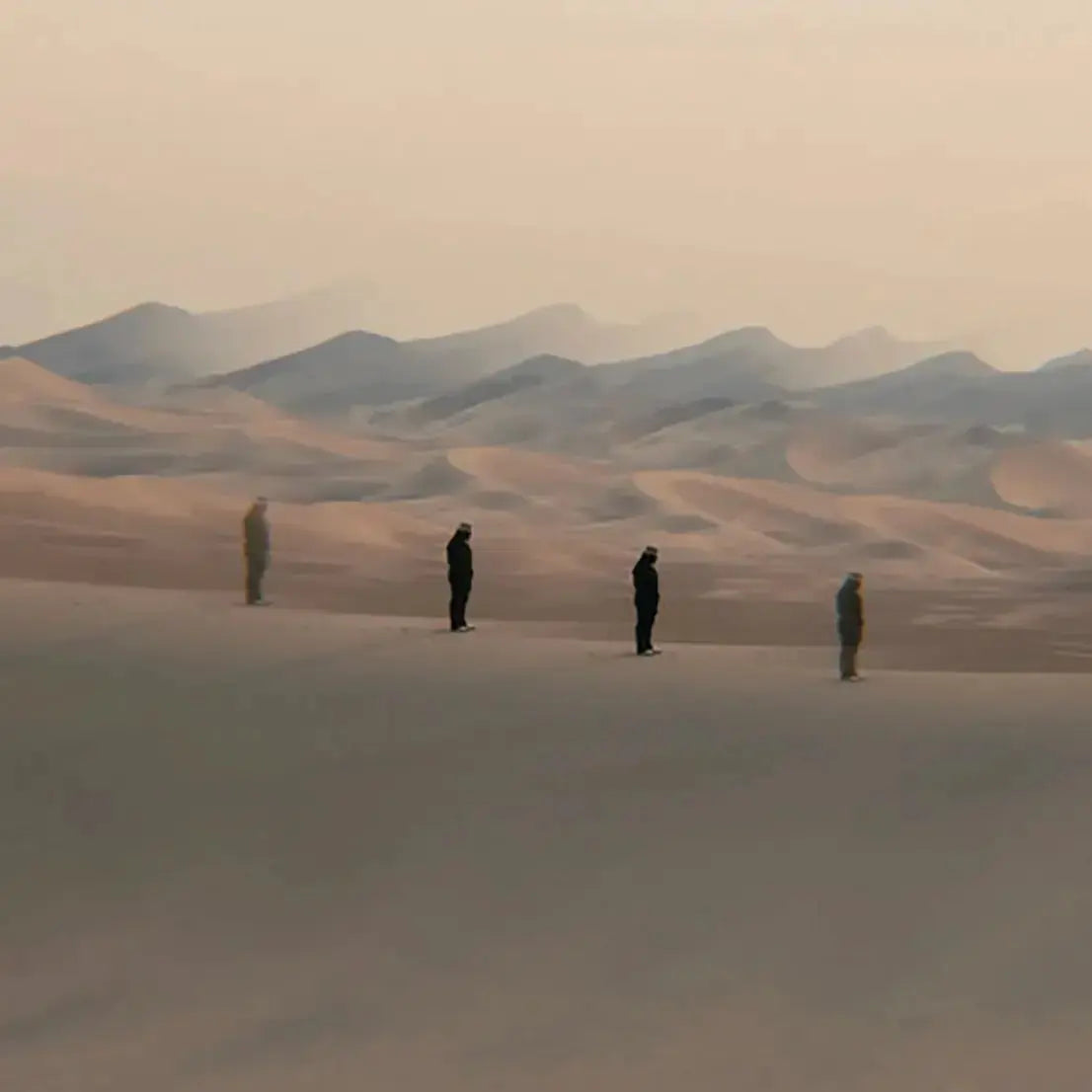 LINEAR Filter - LAB VIZION