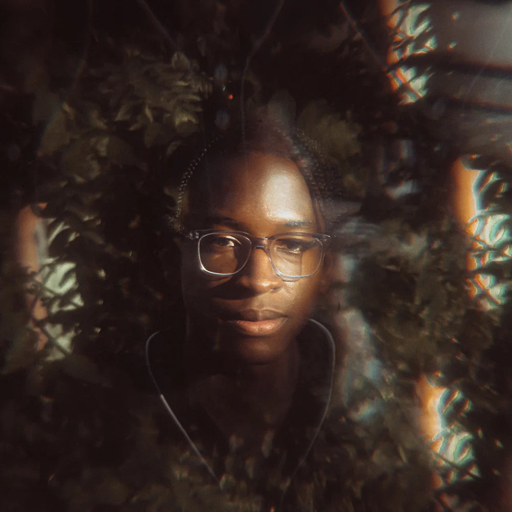 Kaleidoscope FX Filter - LAB VIZION