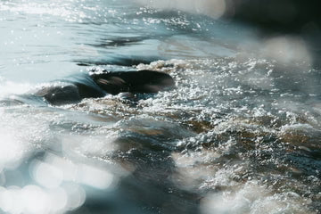 Centerfield Split Diopter FX Filter - LAB VIZION