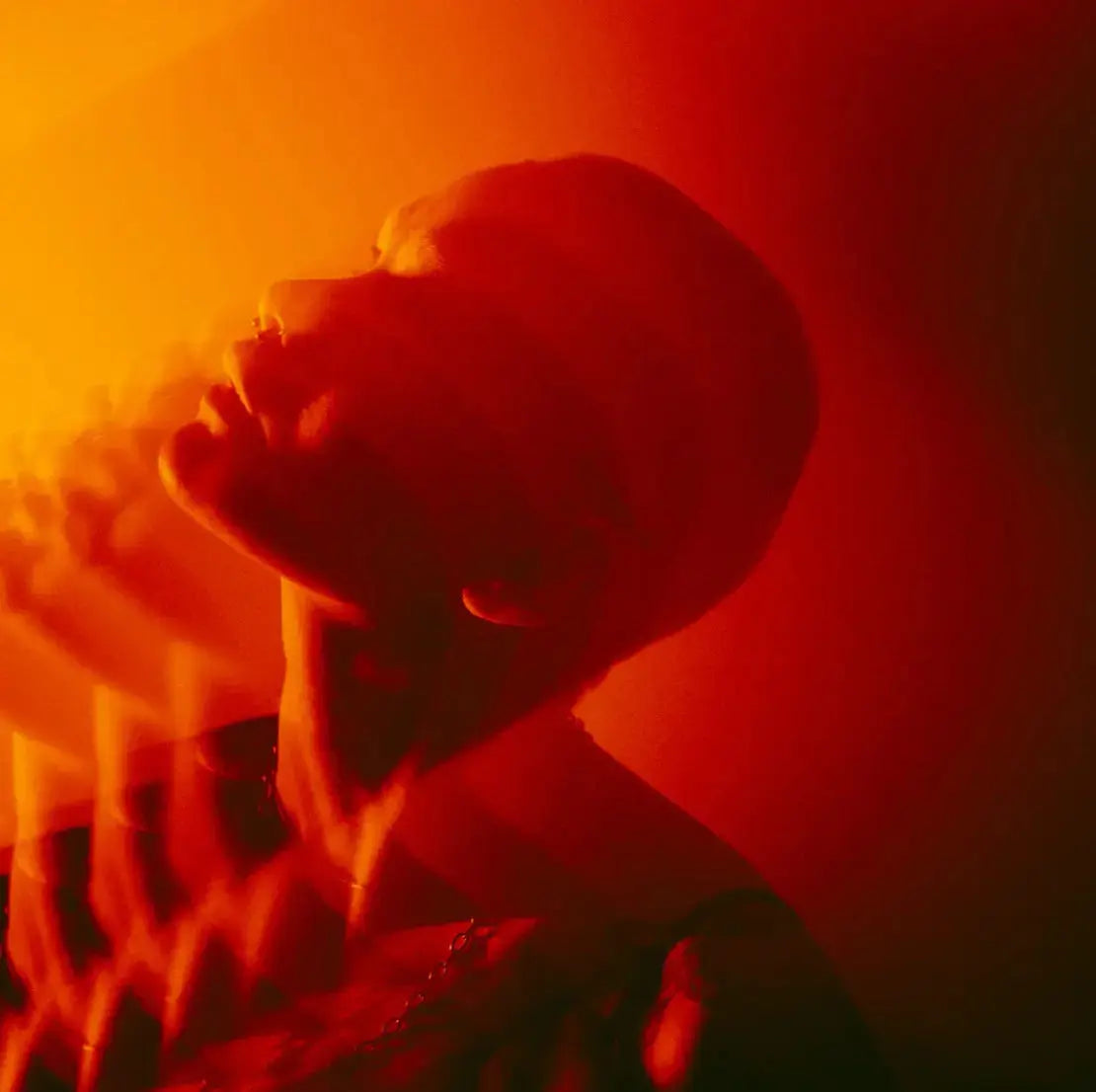 LINEAR Filter - LAB VIZION